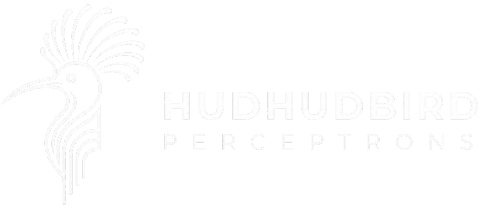 Hudhudbird Perceptrons