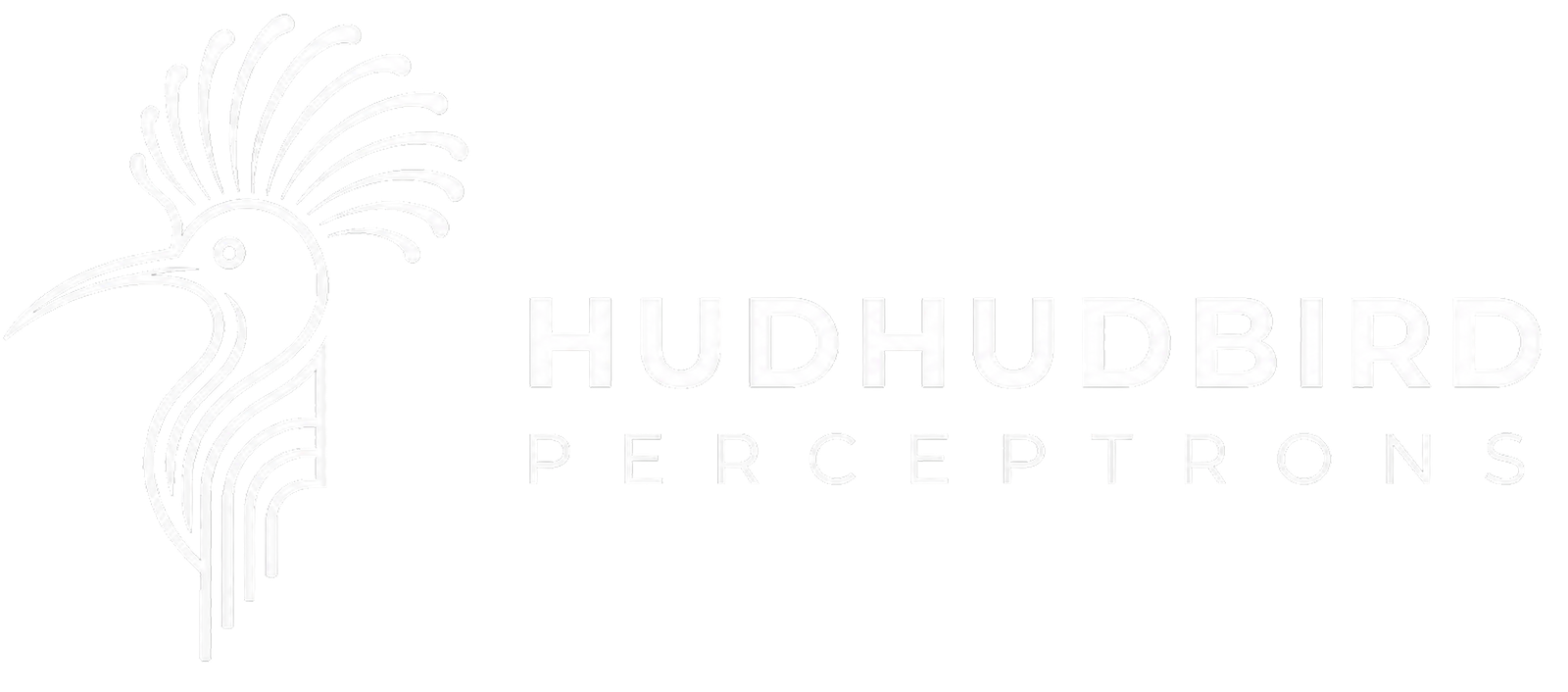 Hudhudbird Perceptrons